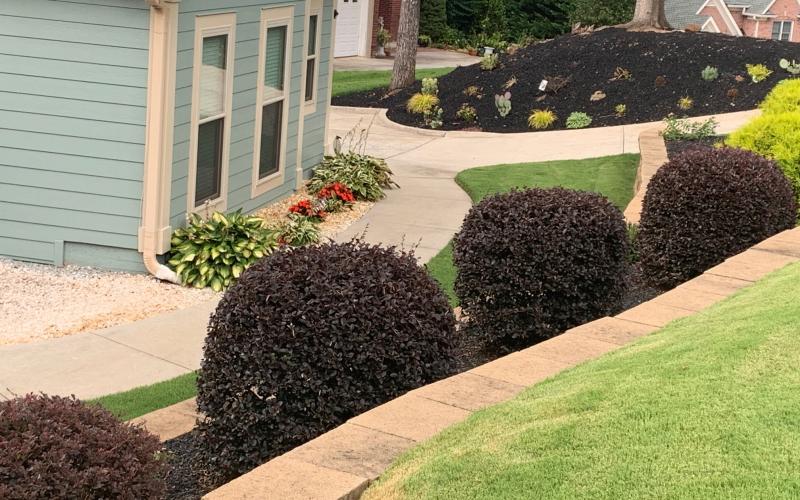 Rubber Mulch Landscaping Side Yard