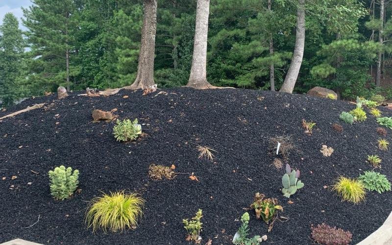Black Rubber Mulch Landscaping