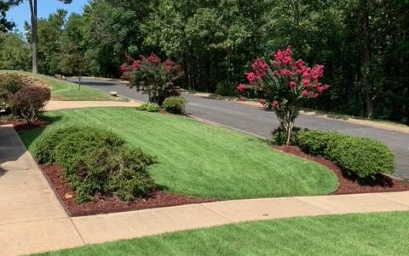 Red Rubber Mulch Landscaping