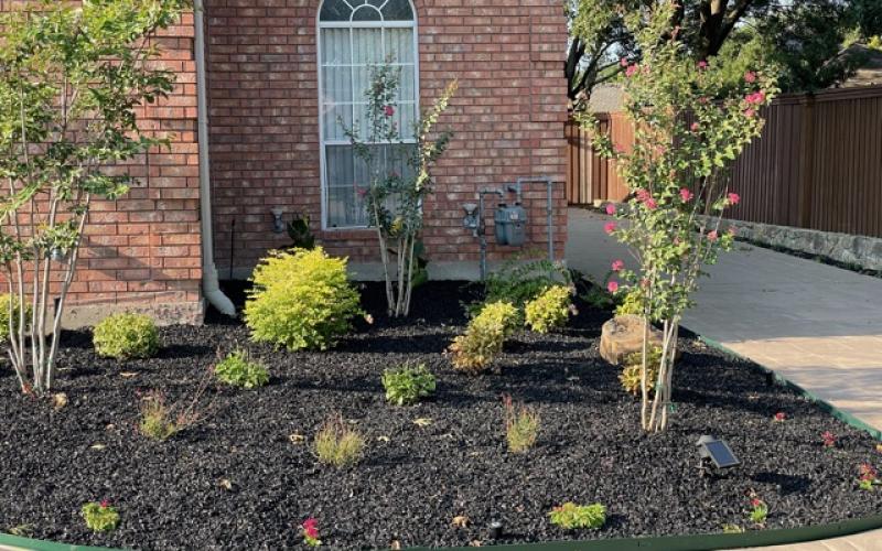Black Rubber Mulch Landscaping
