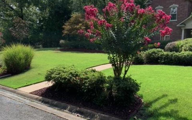 Red Rubber Mulch Landscaping