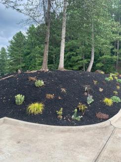 Black Rubber Mulch Landscaping