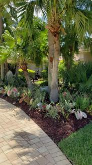 Lush Rubber Mulch Landscaping