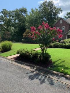 Red Rubber Mulch Landscaping