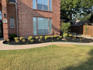 Black Rubber Mulch Landscaping
